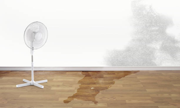 Best Water damage restoration insurance claims  in Kenilworth, PA