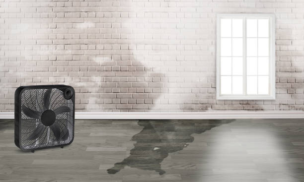 Best Flooded house restoration  in Kenilworth, PA
