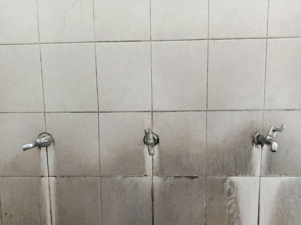 Best Water damage restoration cost  in Kenilworth, PA