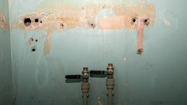 Best Mold removal after water damage  in Kenilworth, PA